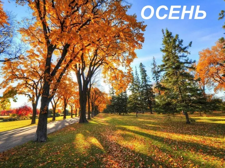 ОСЕНЬ