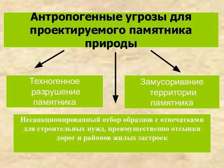 Антропогенные угрозы для проектируемого памятника природы Замусоривание территории памятника Техногенное разрушение памятника