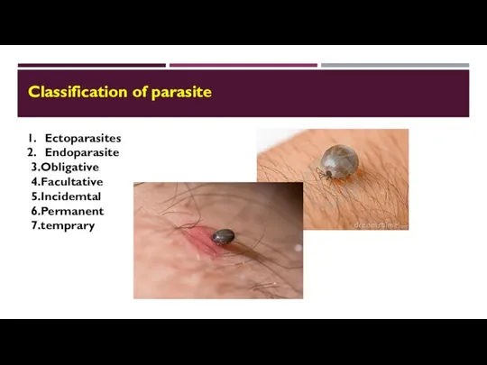 Classification of parasites  Facultative parasite: lives a parasitic life when