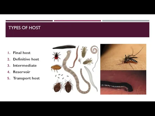 TYPES OF HOST Final host Definitive host Intermediate Reservoir Transport host