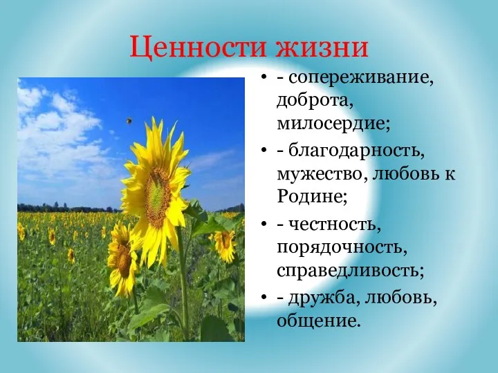 Ценности жизни - сопереживание, доброта, милосердие; - благодарность, мужество, любовь к