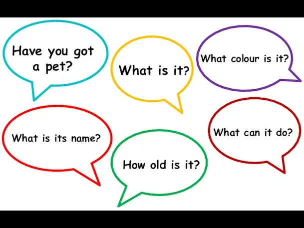 Have you got a pet? What is it? What colour is