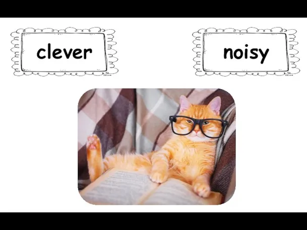 clever noisy