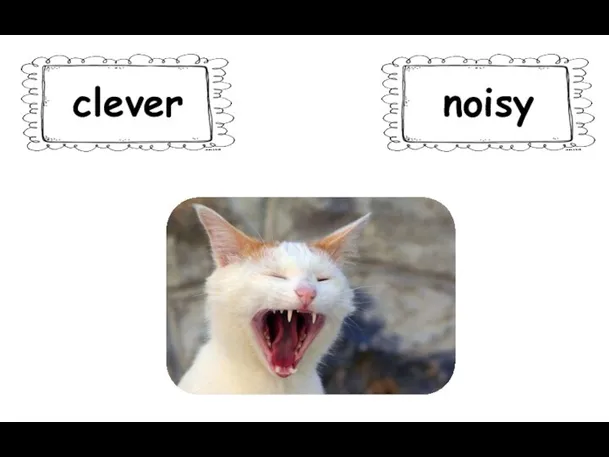 clever noisy