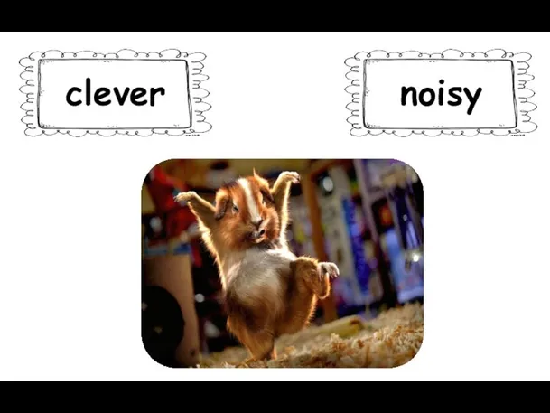 clever noisy