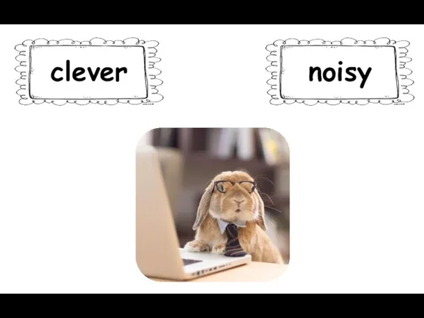 clever noisy