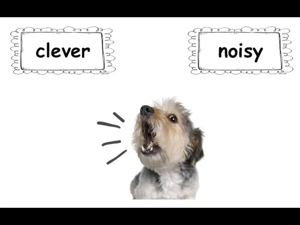 clever noisy