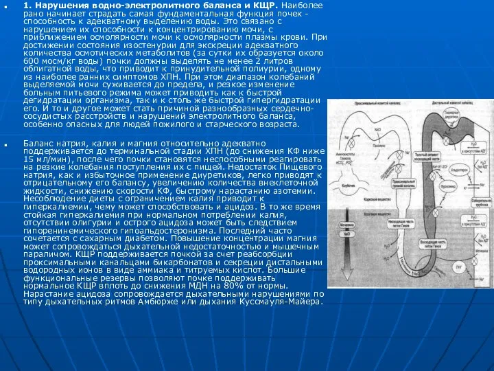 1. Нарушения водно-электролитного баланса и КЩР. Наиболее рано начинает страдать самая