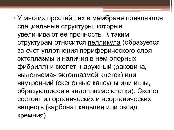 У многих простейших в мембране появляются специальные структуры, которые увеличивают ее