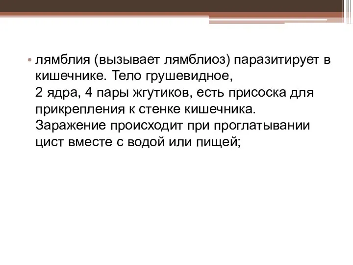 лямблия (вызывает лямблиоз) паразитирует в кишечнике. Тело грушевидное, 2 ядра, 4