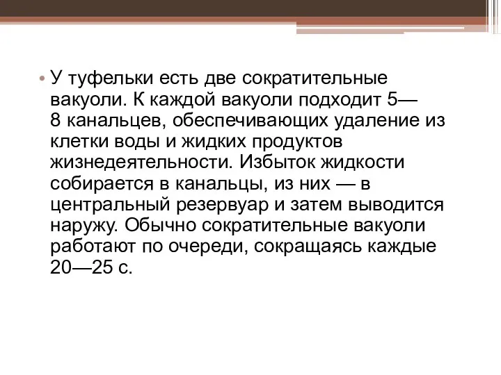 У туфельки есть две сократительные вакуоли. К каждой вакуоли подходит 5—