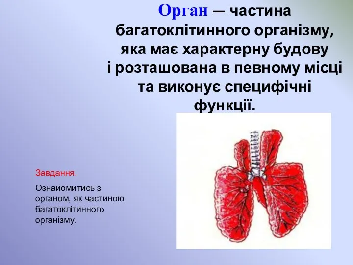 Орган — частина багатоклітинного організму, яка має характерну будову і розташована