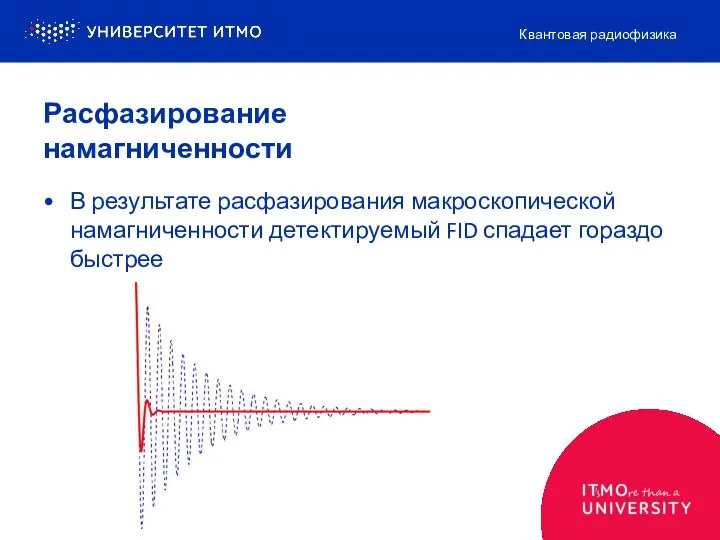 Расфазирование намагниченности В результате расфазирования макроскопической намагниченности детектируемый FID спадает гораздо быстрее Квантовая радиофизика