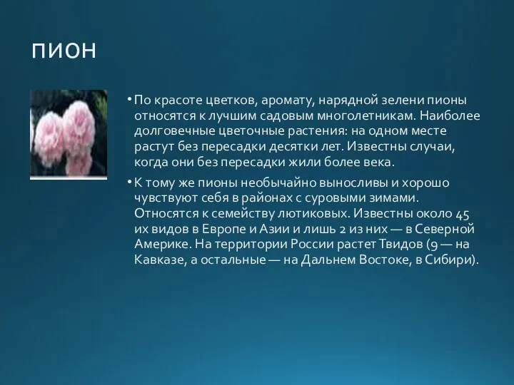 пион По красоте цветков, аромату, нарядной зелени пионы относятся к лучшим