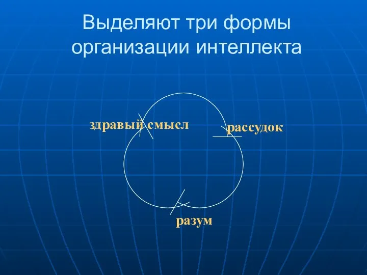 Выделяют три формы организации интеллекта здравый смысл рассудок разум