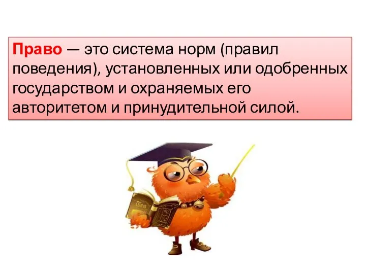 Право — это система норм (правил поведения), установленных или одобренных государством