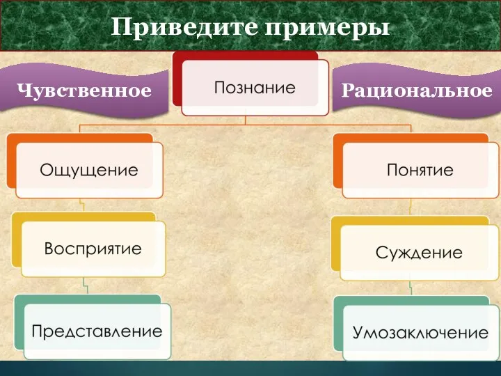 Формы познания Приведите примеры Чувственное Рациональное