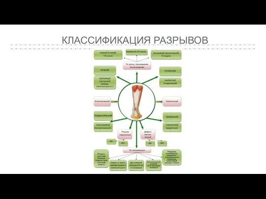 КЛАССИФИКАЦИЯ РАЗРЫВОВ