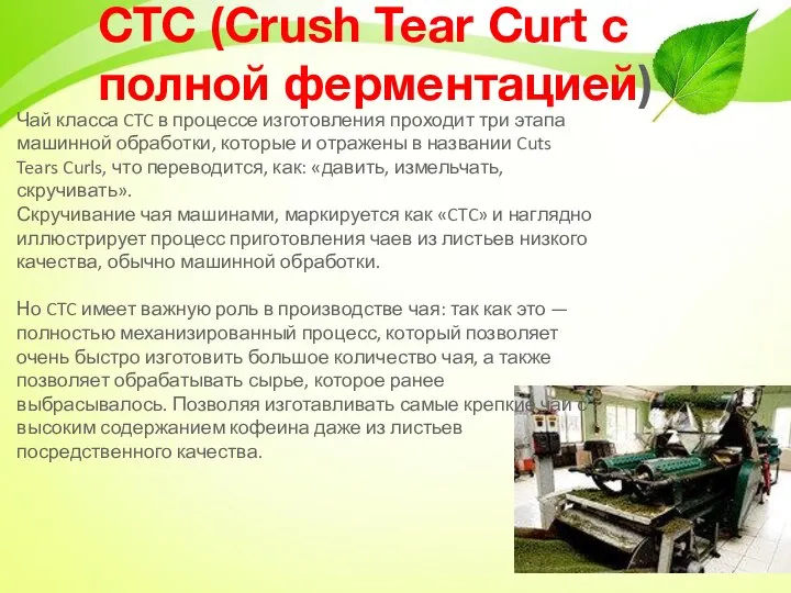 CTC (Crush Tear Curt с полной ферментацией) Чай класса CTC в