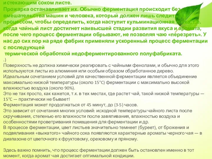 Процесс ферментации – один из основных в производстве чёрного чая. Во