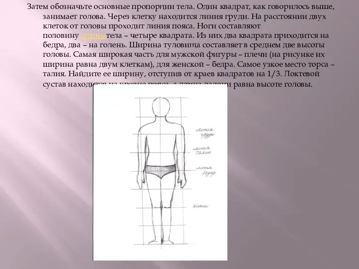 Затем обозначьте основные пропорции тела. Один квадрат, как говорилось выше, занимает