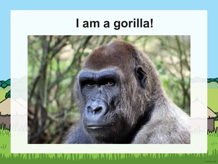 I am a gorilla!