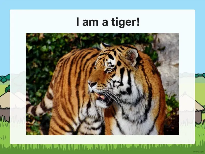 I am a tiger!