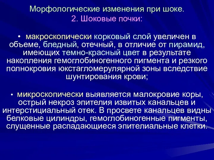 Морфологические изменения при шоке. 2. Шоковые почки: • макроскопически корковый слой