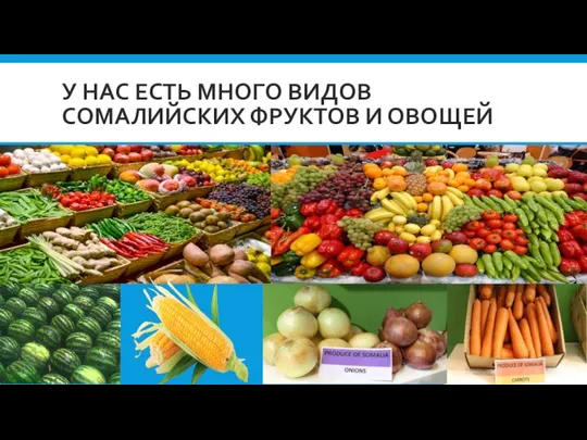 У НАС ЕСТЬ МНОГО ВИДОВ СОМАЛИЙСКИХ ФРУКТОВ И ОВОЩЕЙ