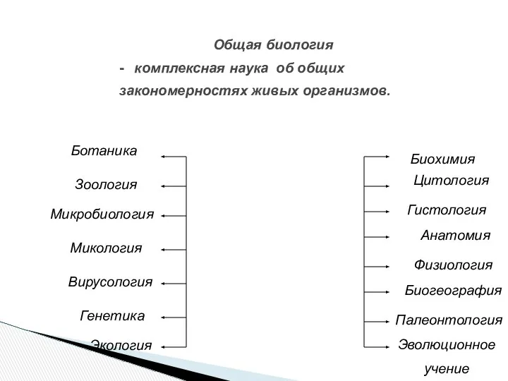 Общая биология Ботаника Зоология Микробиология Микология Вирусология Биохимия Цитология Гистология Анатомия