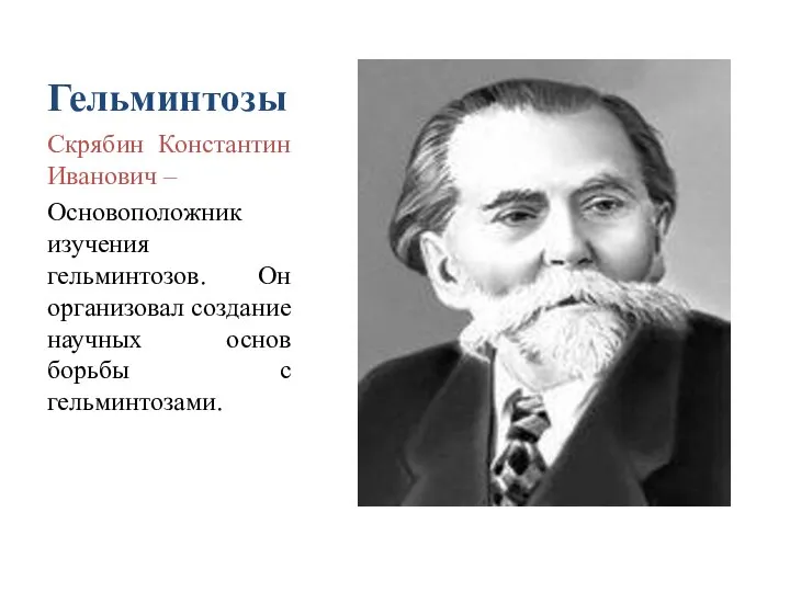 Гельминтозы Скрябин Константин Иванович – Основоположник изучения гельминтозов. Он организовал создание научных основ борьбы с гельминтозами.