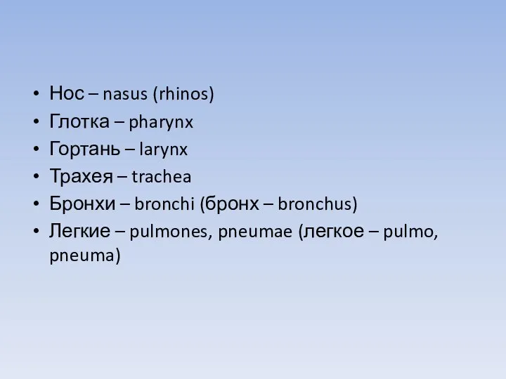 Нос – nasus (rhinos) Глотка – pharynx Гортань – larynx Трахея