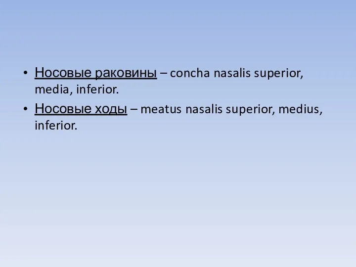 Носовые раковины – concha nasalis superior, media, inferior. Носовые ходы – meatus nasalis superior, medius, inferior.