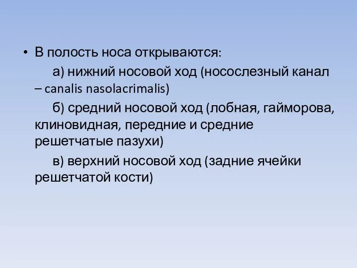 В полость носа открываются: а) нижний носовой ход (носослезный канал –