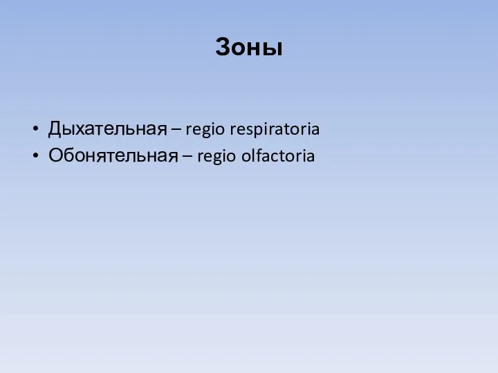 Зоны Дыхательная – regio respiratoria Обонятельная – regio olfactoria