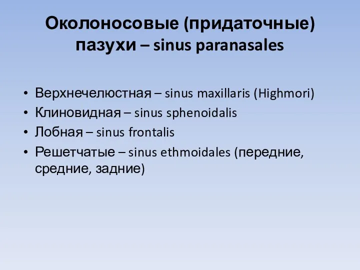 Околоносовые (придаточные) пазухи – sinus paranasales Верхнечелюстная – sinus maxillaris (Highmori)