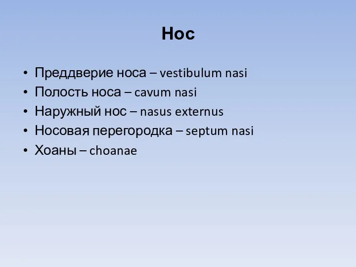 Нос Преддверие носа – vestibulum nasi Полость носа – cavum nasi