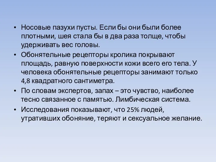 Носовые пазухи пусты. Если бы они были более плотными, шея стала