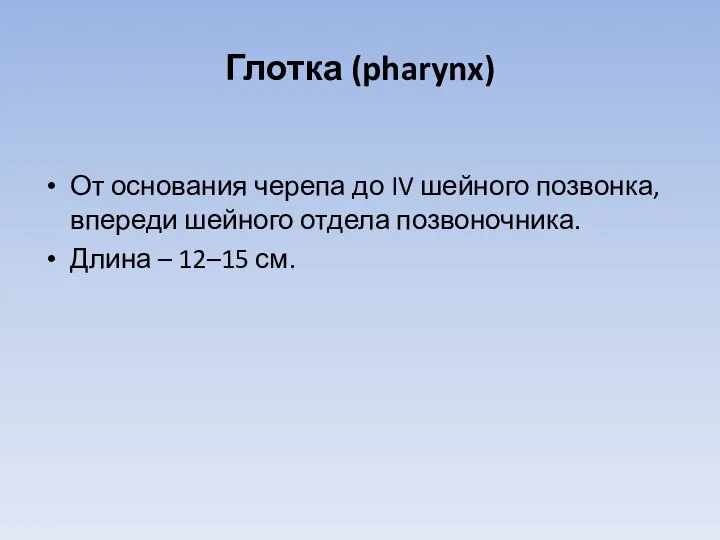 Глотка (pharynx) От основания черепа до IV шейного позвонка, впереди шейного