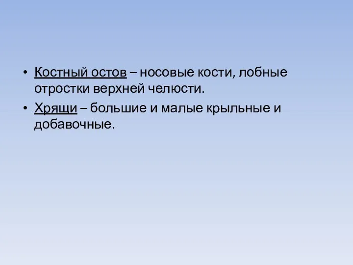 Костный остов – носовые кости, лобные отростки верхней челюсти. Хрящи –