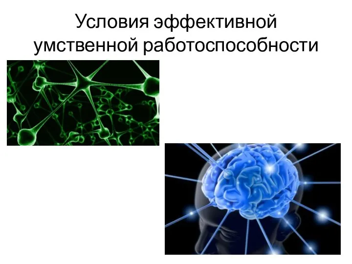 Условия эффективной умственной работоспособности