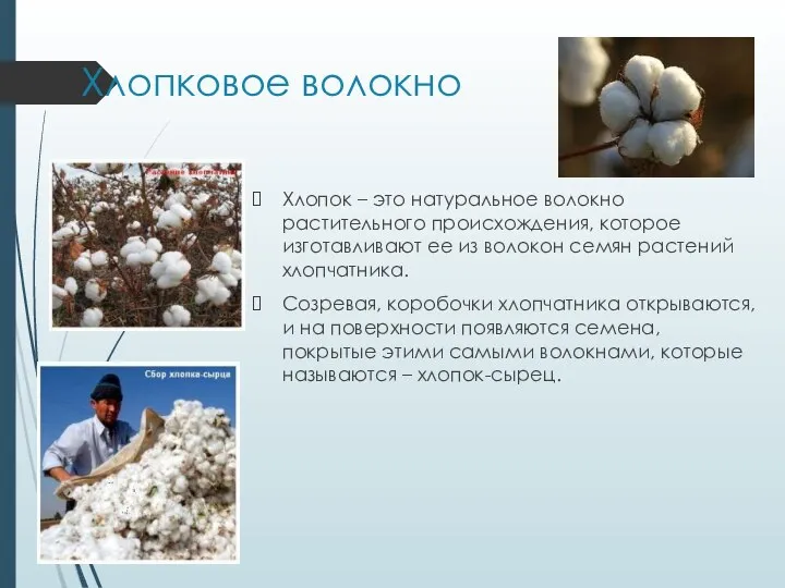 Хлопковое волокно Хлопок – это натуральное волокно растительного происхождения, которое изготавливают