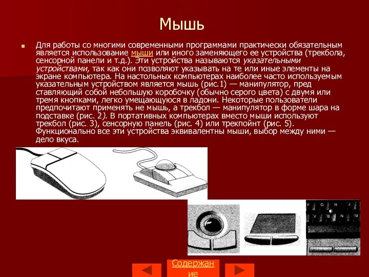 Мышь Для работы со многими современными программами практически обязательным является использование