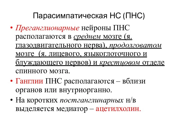 Парасимпатическая НС (ПНС) Преганглионарные нейроны ПНС располагаются в среднем мозге (я.