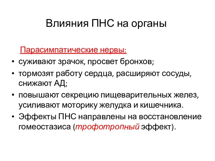 Влияния ПНС на органы Парасимпатические нервы: суживают зрачок, просвет бронхов; тормозят