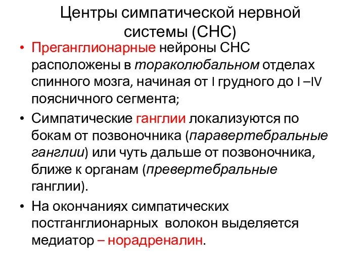 Центры симпатической нервной системы (СНС) Преганглионарные нейроны СНС расположены в тораколюбальном