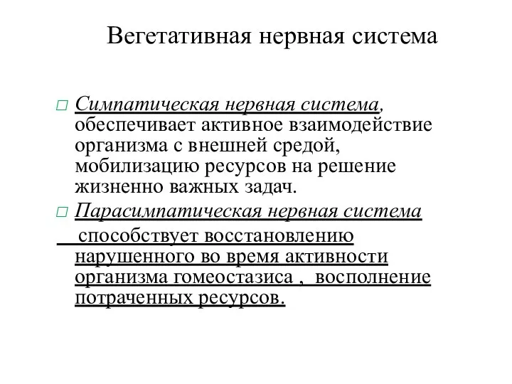 Вегетативная нервная система Симпатическая нервная система, обеспечивает активное взаимодействие организма с