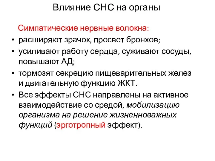 Влияние СНС на органы Симпатические нервные волокна: расширяют зрачок, просвет бронхов;