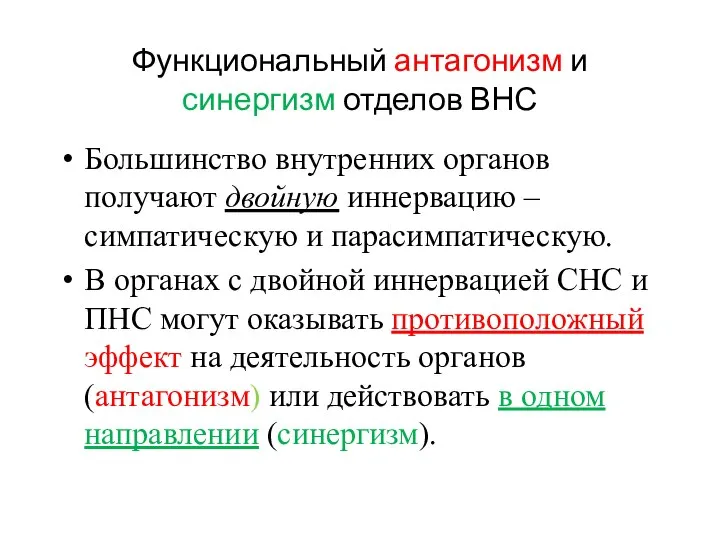 Функциональный антагонизм и синергизм отделов ВНС Большинство внутренних органов получают двойную