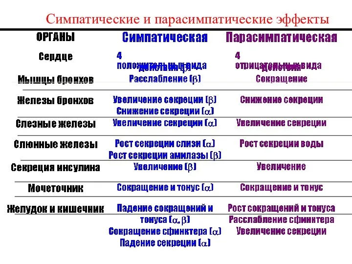 Симпатические и парасимпатические эффекты